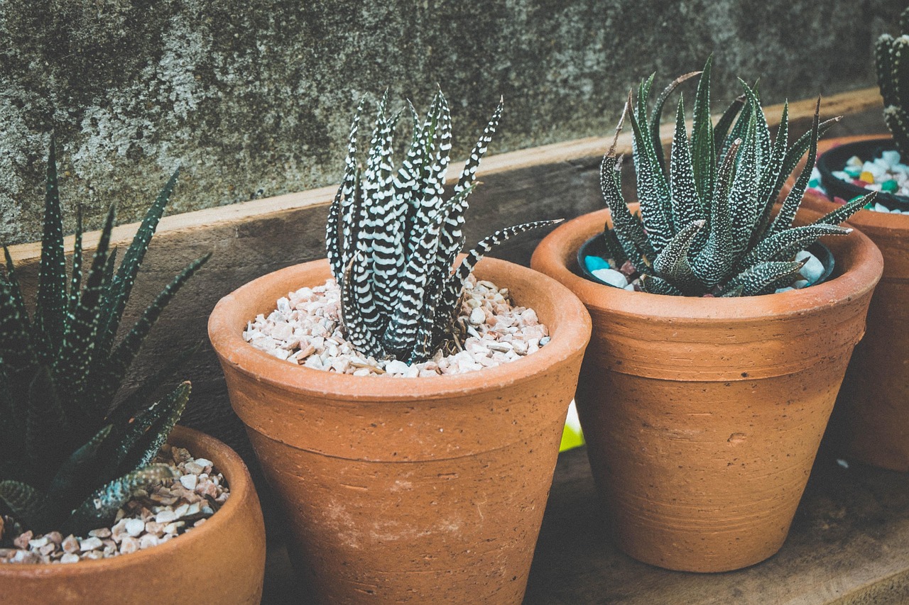 Pot Bunga (Gambar oleh Pexels dari Pixabay)